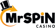 Mr Spin logo