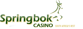 Springbok