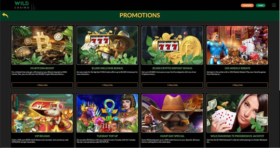 wild-casino-bonuses-and-promotions