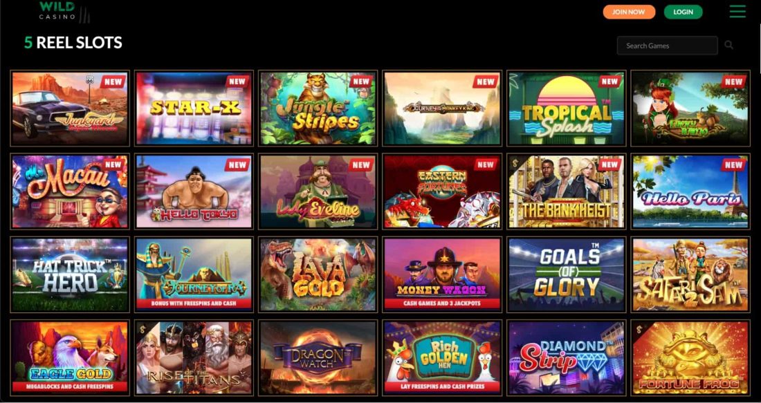 wild-casino-games-offered