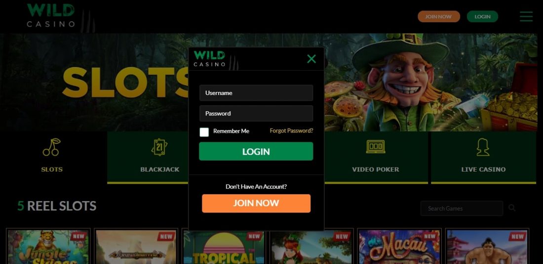 wild-casino-login-process