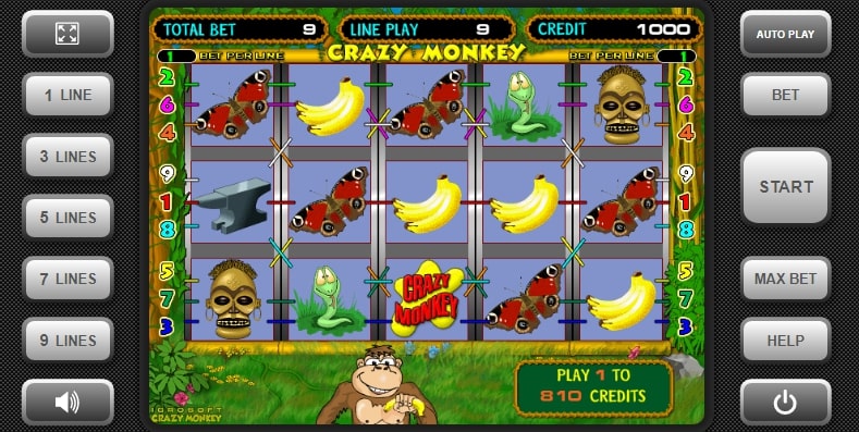 Crazy monkey