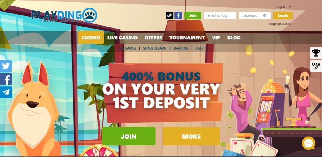 PlayDingo
