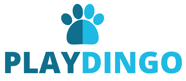 PlayDingo