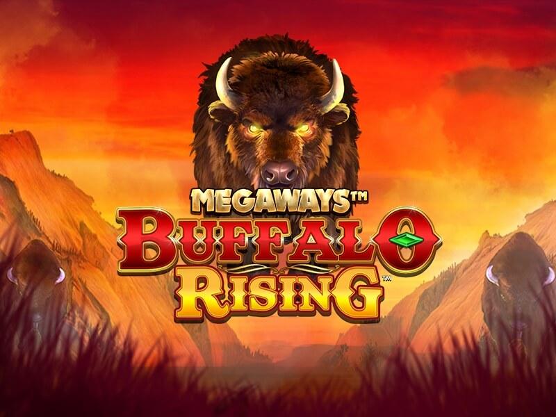 Buffalo Rising