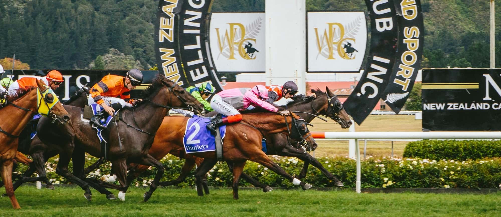 An Important Event in New Zealand is Scheduled for Next Spring