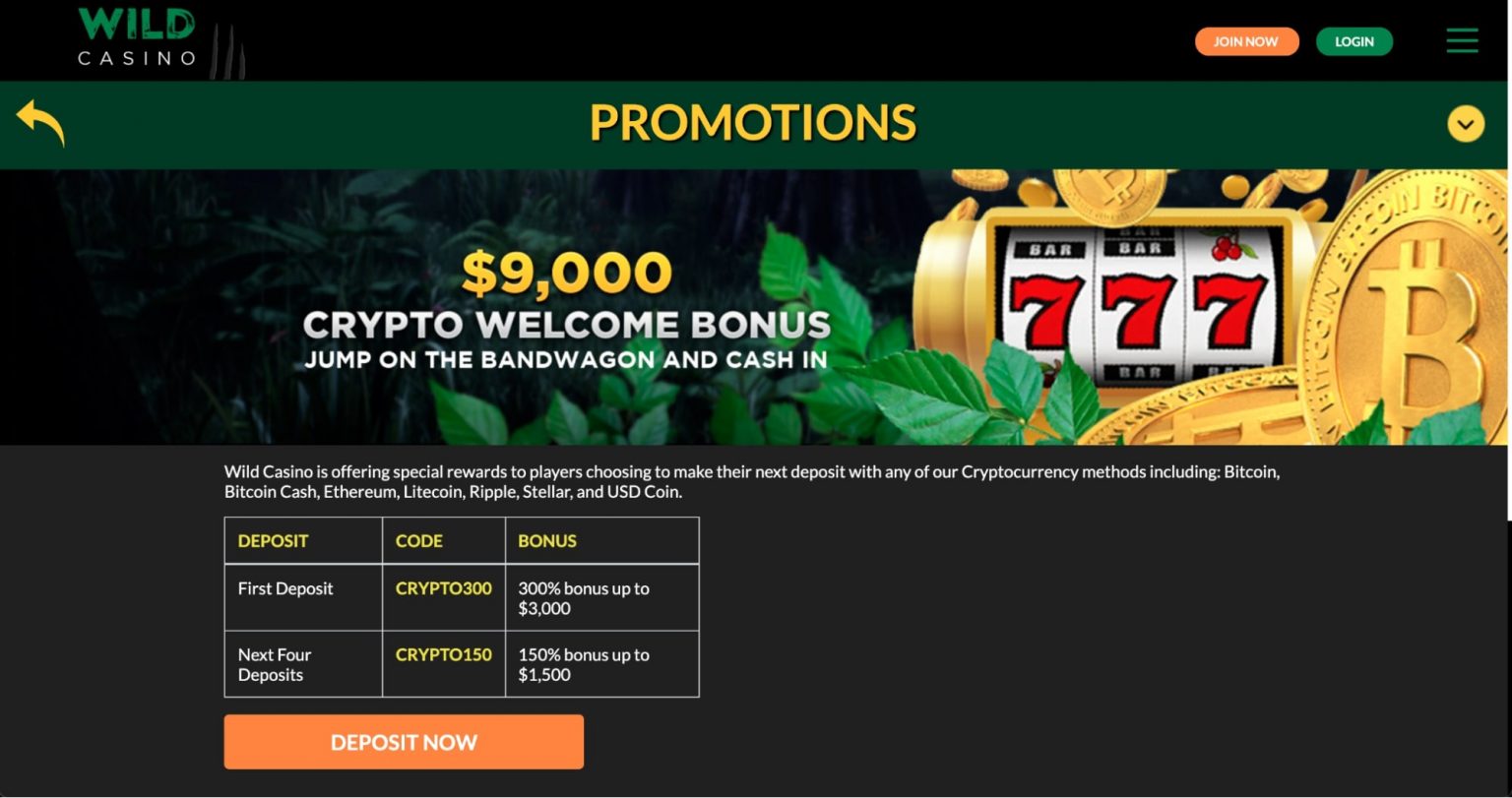wild casino bonus codes free spins